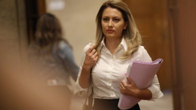 Назарян: Президент, да, премиер - не! Изненадващ обрат в политическите амбиции.